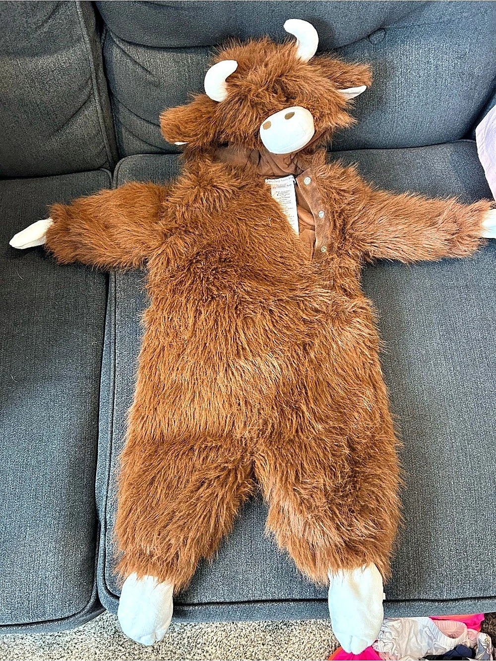Pottery Barn Kids Highland Cow Costume